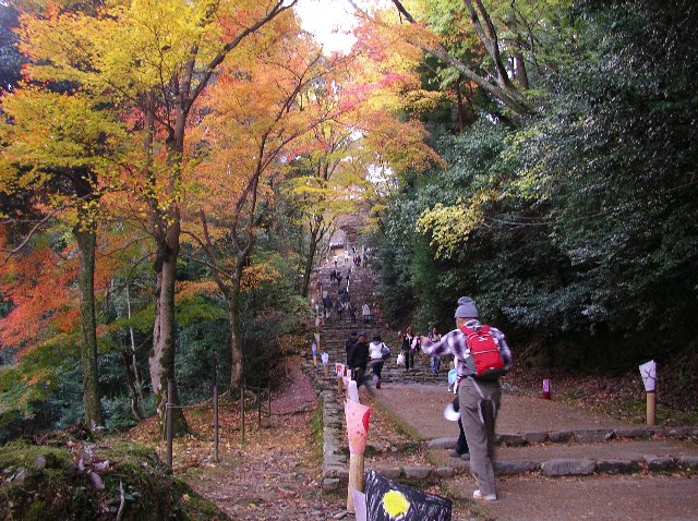 c0029332_2221718.jpg