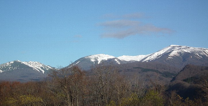 f0118332_21572349.jpg