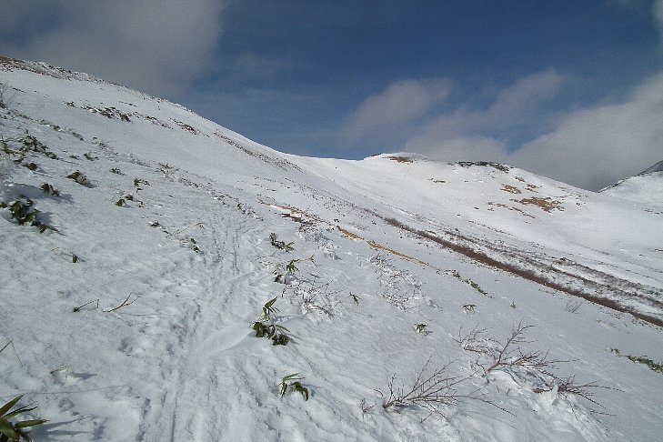 f0118332_22131065.jpg