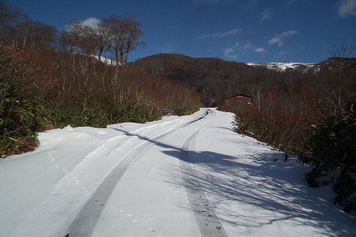 f0118332_227431.jpg
