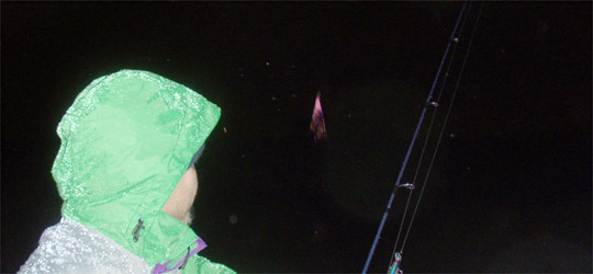 b0169939_1057855.jpg