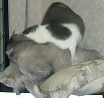 検診_f0002743_18401428.jpg
