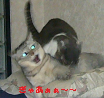 検診_f0002743_18402886.jpg