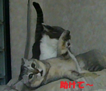 検診_f0002743_18404820.jpg