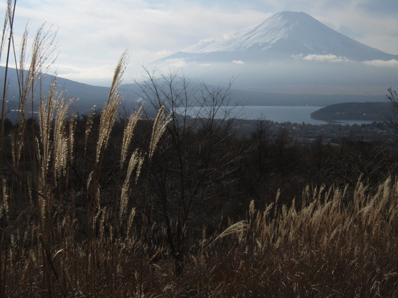 高指山～切通峠～鉄砲ノ木頭（明神山）_d0192045_22323788.jpg