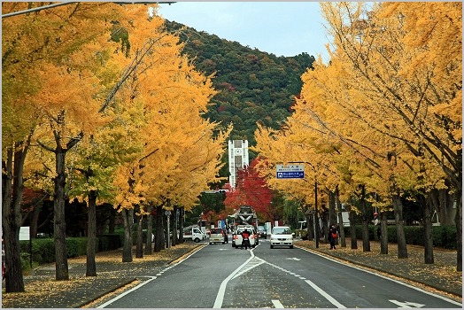 秋の岡山県総合グランド_b0210154_19195654.jpg