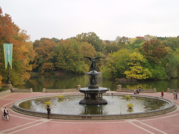 ニューヨーク旅行記・２_a0061057_2011858.jpg