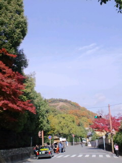 今日の大徳寺と金閣寺_f0157058_1136221.jpg