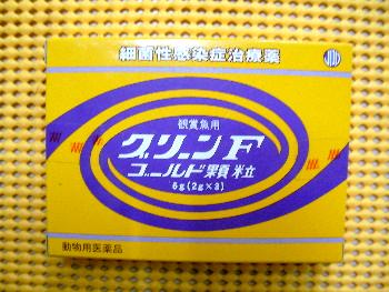 必見 当店のトリートメント法 金魚一道ブログ