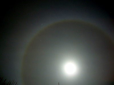 b0171771_3101085.jpg
