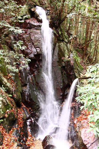 音羽三山　音羽山・経ヶ塚山・熊ヶ岳　奈良県_d0097373_22212384.jpg