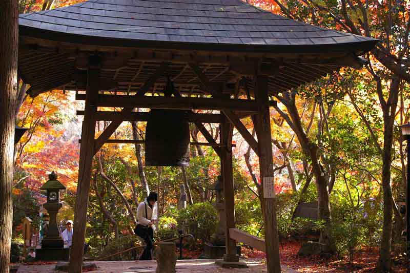 三滝寺の紅葉_f0130879_0483671.jpg