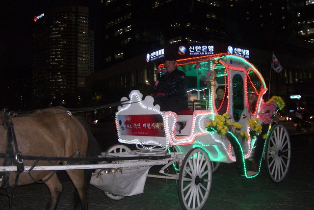 2010年11月韓国旅行part4　世界燈祭り～東大門　徳寿宮　高速バスで清州へ_f0152079_23284495.jpg
