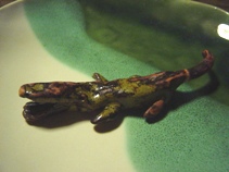 c0057781_01842.jpg