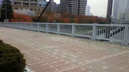 c0170483_1202960.jpg