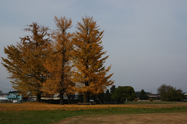 c0212083_16334945.jpg