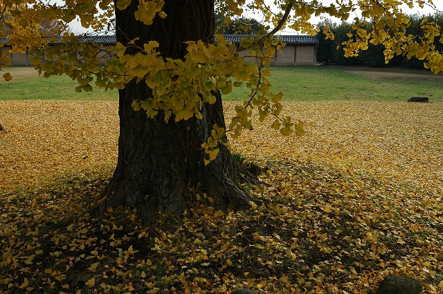 c0212083_1636228.jpg