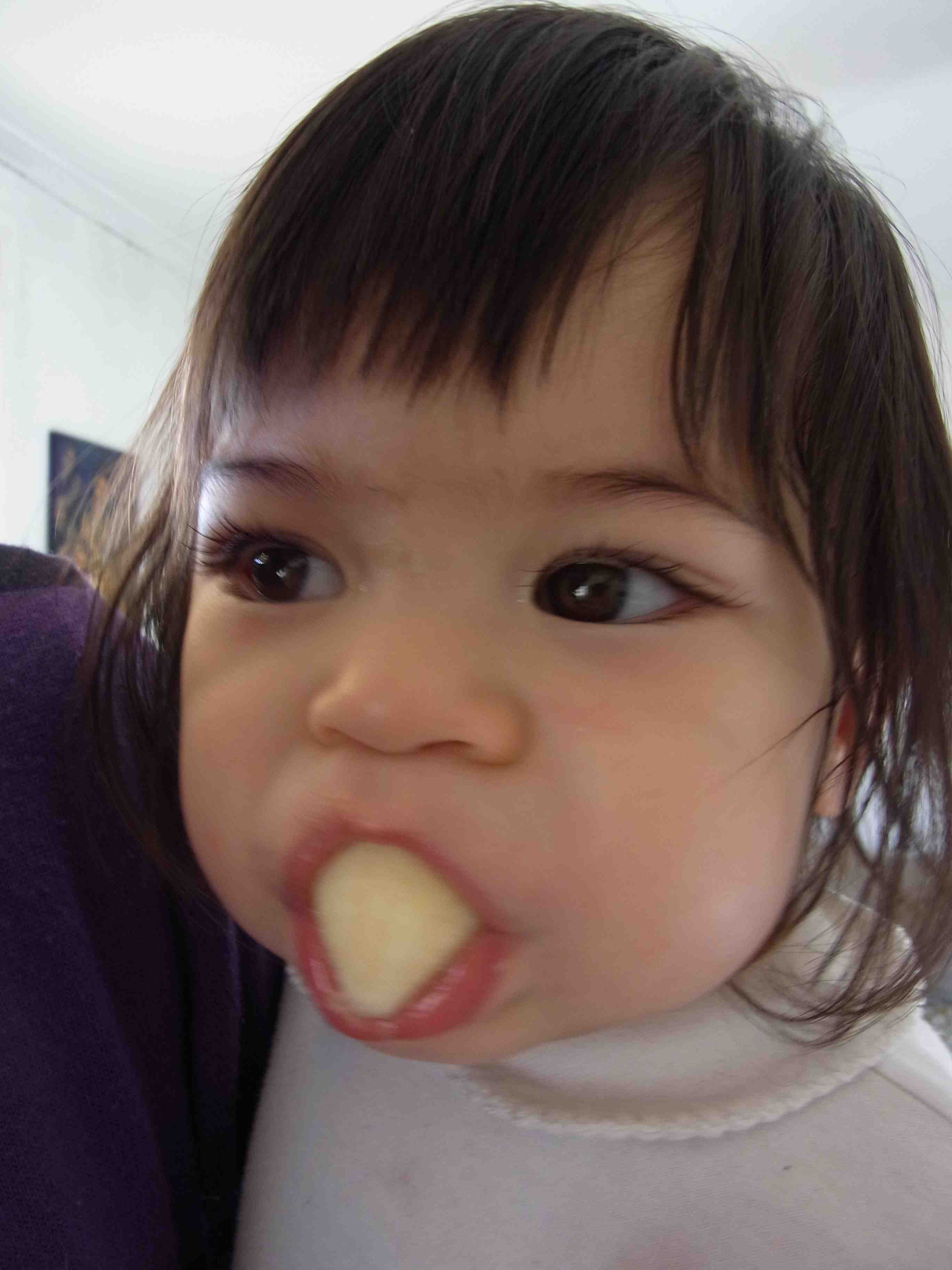 Les Bananes Et Moi やっぱり鶏肉が好き