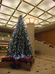 e0150989_1942190.jpg