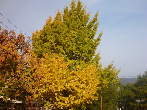 c0191390_20385383.jpg