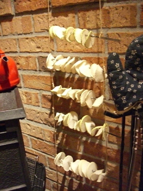 assh。_a0045293_1202283.jpg