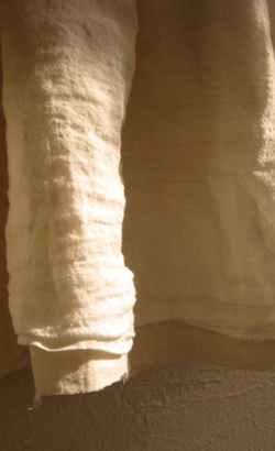c0128402_845412.gif