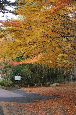 a0123003_1062465.jpg