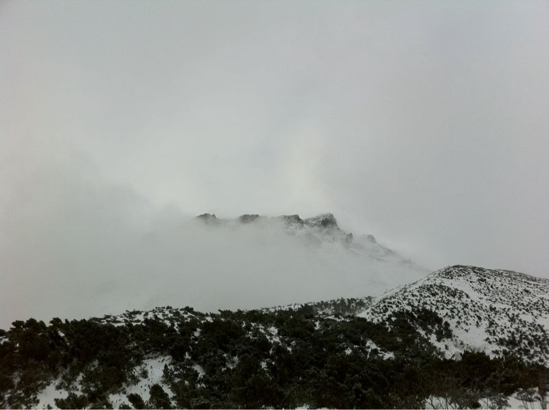 c0154313_15435732.jpg