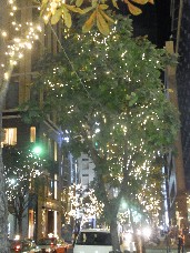 クリスマスのイルミネーション_d0171222_1153742.jpg