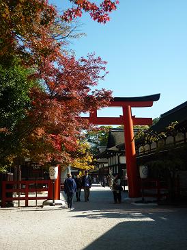 紅葉2010*　その1_b0208228_10512415.jpg