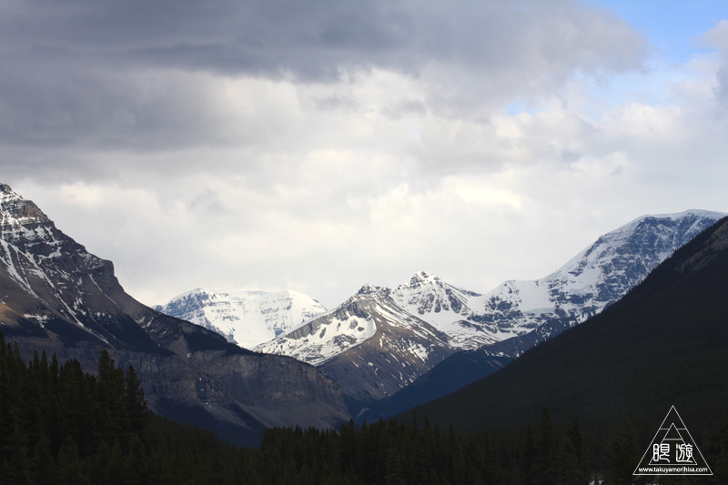 071 Icefields Parkway ~黄金色に輝く帰り道~_c0211532_18553035.jpg