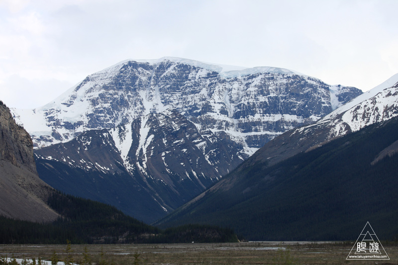 071 Icefields Parkway ~黄金色に輝く帰り道~_c0211532_18571469.jpg