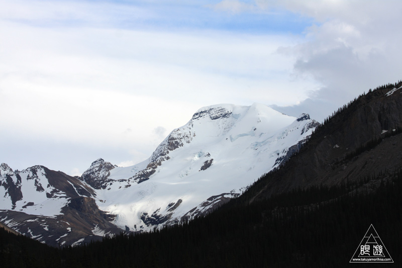 071 Icefields Parkway ~黄金色に輝く帰り道~_c0211532_18571963.jpg