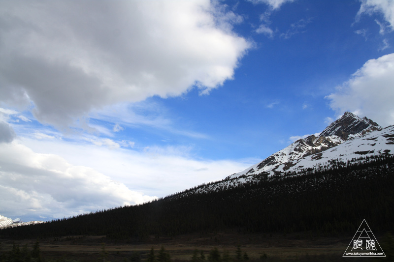 071 Icefields Parkway ~黄金色に輝く帰り道~_c0211532_19123136.jpg