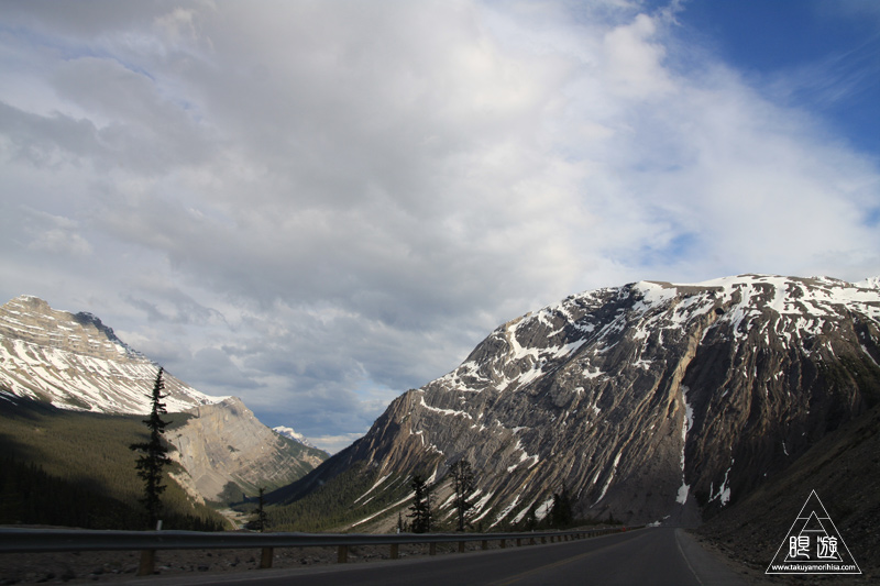 071 Icefields Parkway ~黄金色に輝く帰り道~_c0211532_19124261.jpg