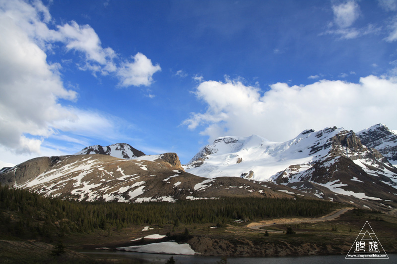 071 Icefields Parkway ~黄金色に輝く帰り道~_c0211532_1912464.jpg