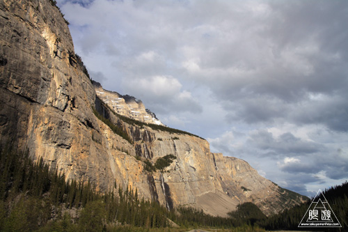 071 Icefields Parkway ~黄金色に輝く帰り道~_c0211532_1915518.jpg