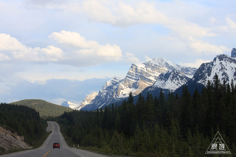071 Icefields Parkway ~黄金色に輝く帰り道~_c0211532_19221648.jpg
