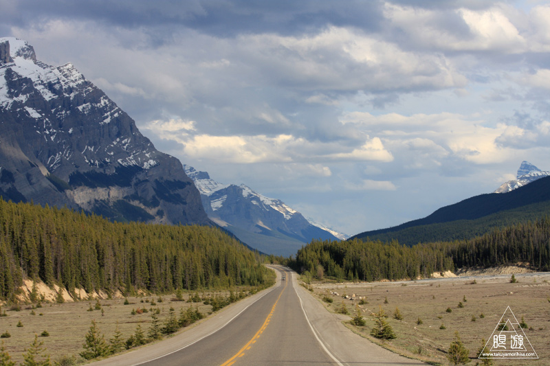 071 Icefields Parkway ~黄金色に輝く帰り道~_c0211532_1922978.jpg