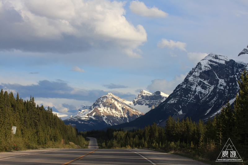 071 Icefields Parkway ~黄金色に輝く帰り道~_c0211532_2001743.jpg