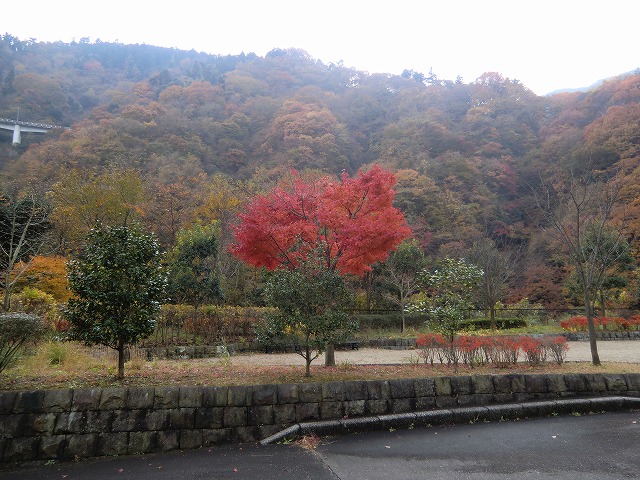 a0006033_20174426.jpg
