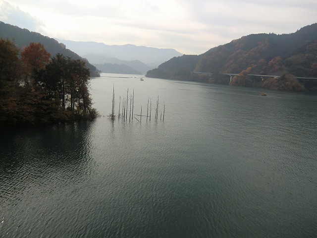 a0006033_20243325.jpg