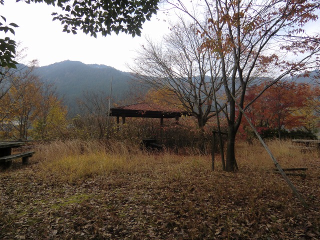 a0006033_20244371.jpg