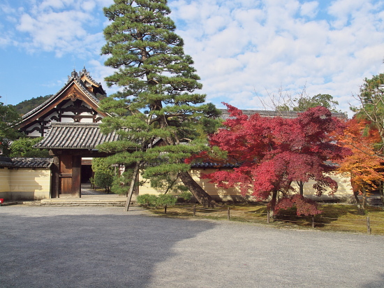 紅葉2010～等持院～_e0080133_0593745.jpg