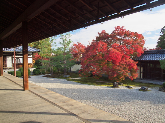 紅葉2010～等持院～_e0080133_0595570.jpg