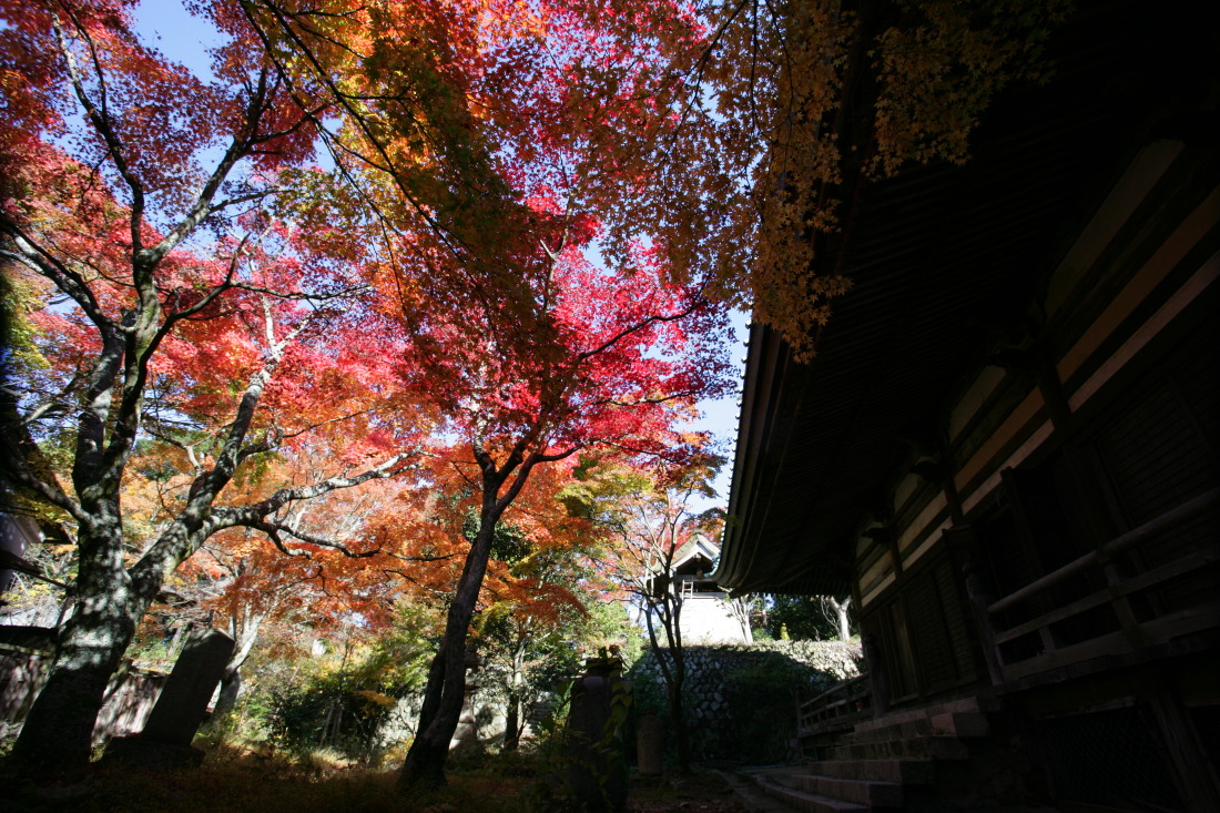 秋の槙尾山ハイキング♪ - 第２回：施福寺～蔵岩_e0210634_20575358.jpg