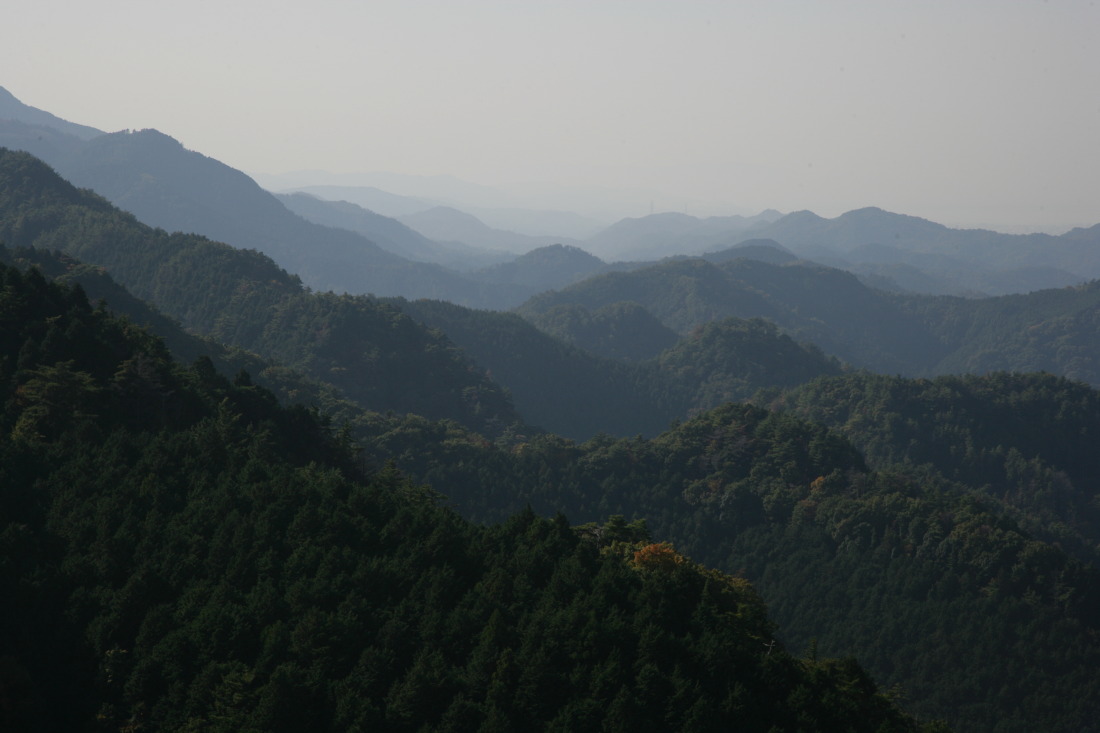 秋の槙尾山ハイキング♪ - 第２回：施福寺～蔵岩_e0210634_21185478.jpg