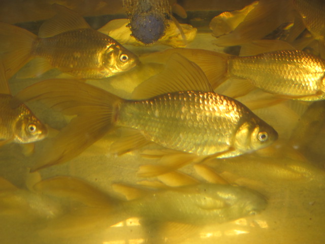 f0214235_17434368.jpg