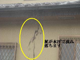3種類の3か所_f0031037_21214919.jpg
