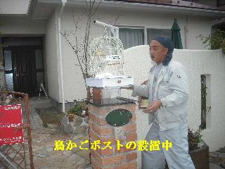 3種類の3か所_f0031037_21285517.jpg